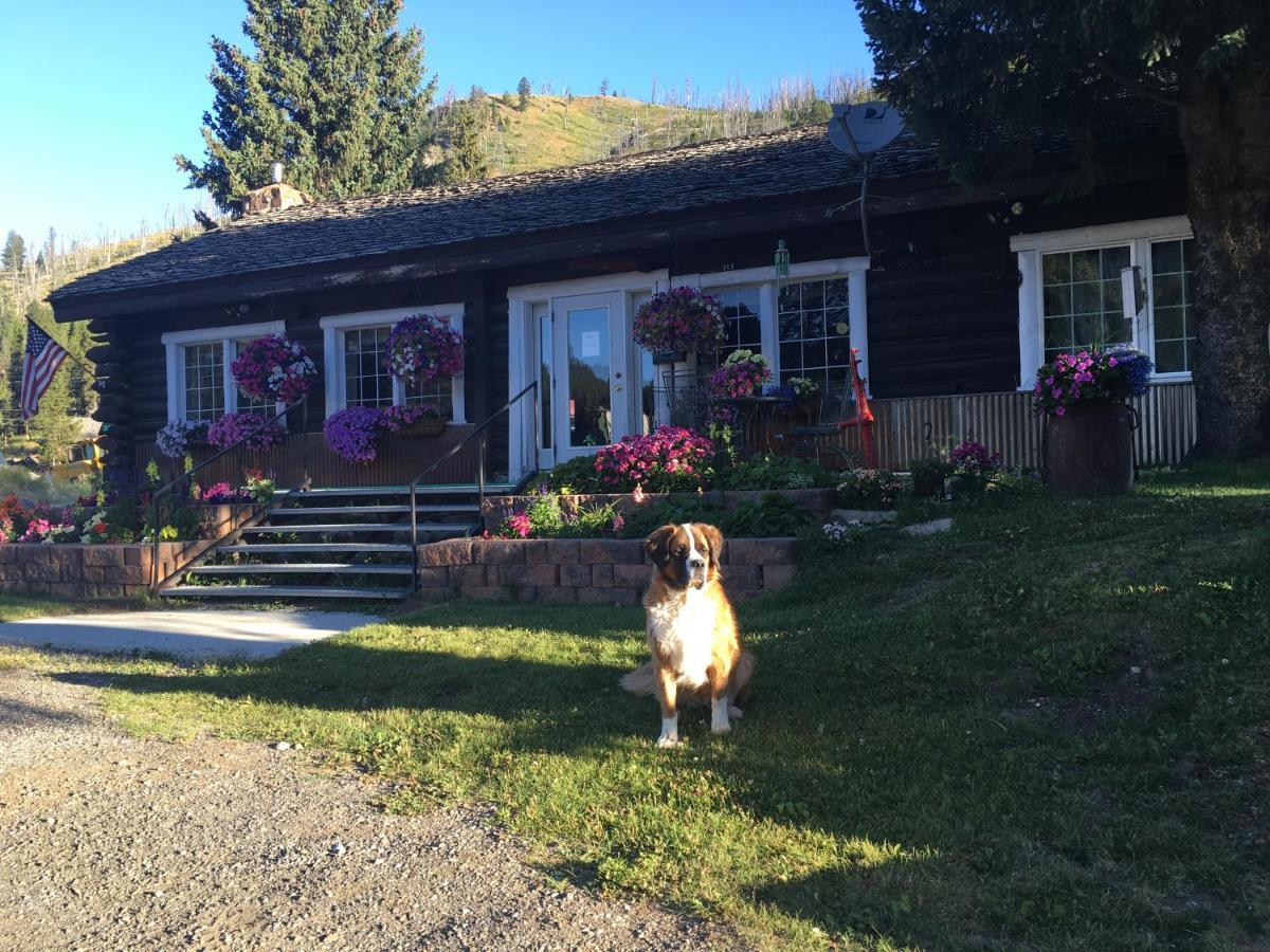Antlers Lodge Cooke City Esterno foto