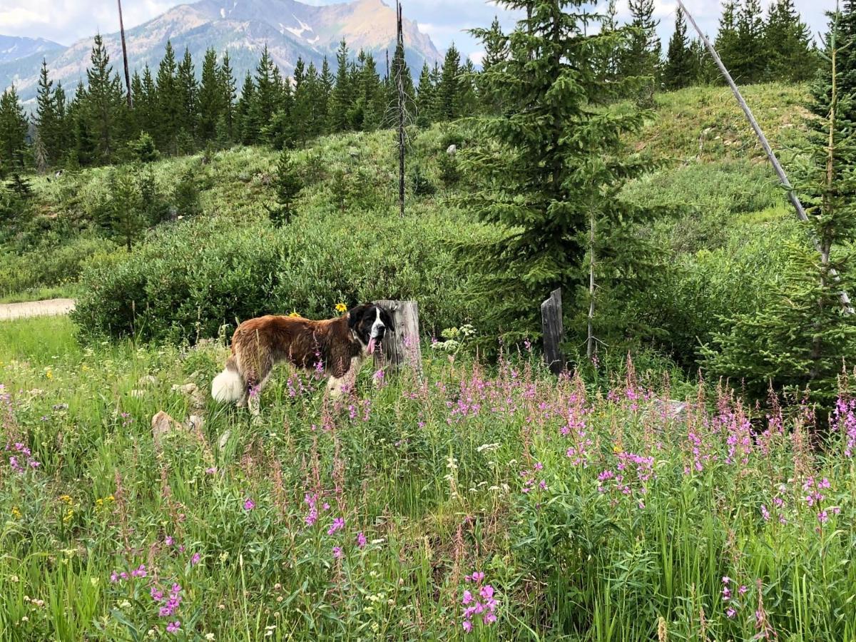 Antlers Lodge Cooke City Esterno foto