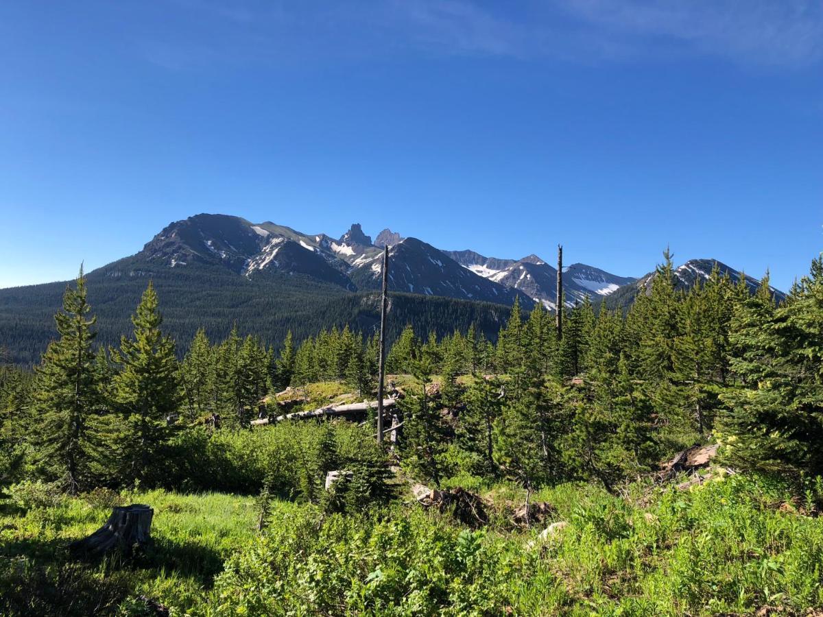 Antlers Lodge Cooke City Esterno foto
